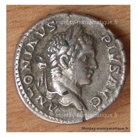 Caracalla Denier + 209 Rome (Virtus)