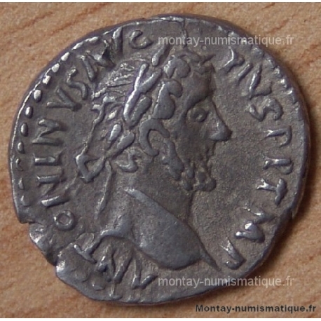 Antonin le Pieux Denier + 144 Rome Moneta