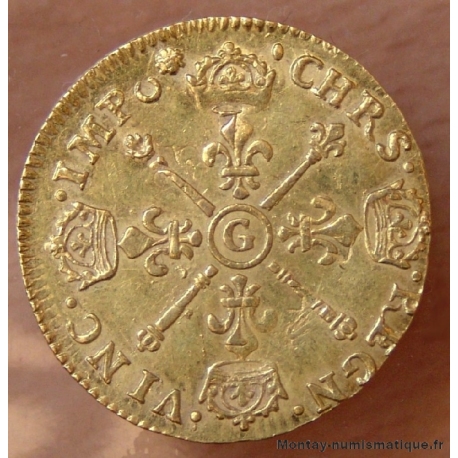 Louis XIV Louis d'or aux insignes 1705 G Poitiers
