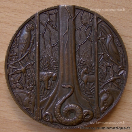 Médaille Guyanne / L'ININI (1951)