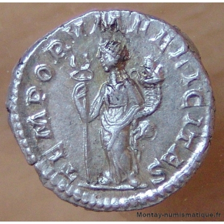 Elagabal  Denier + 219 Rome - TEMPORVM FELICITAS