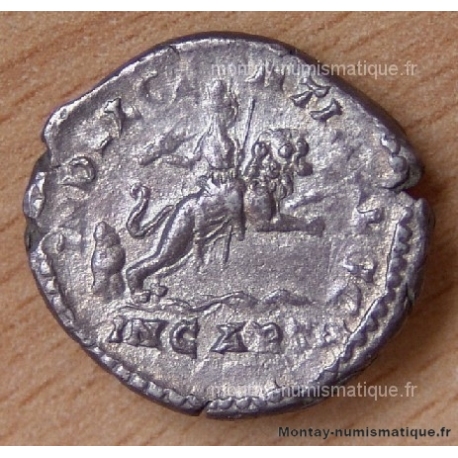 Caracalla Denier + 204 Rome  ( Cælestis )